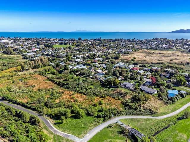 East of Kiwi Road Raumati Beach_4