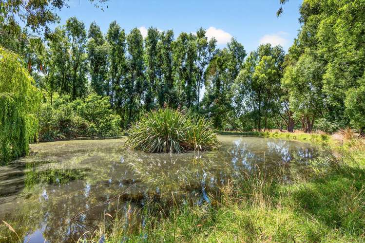 869 Norfolk Road Carterton_29