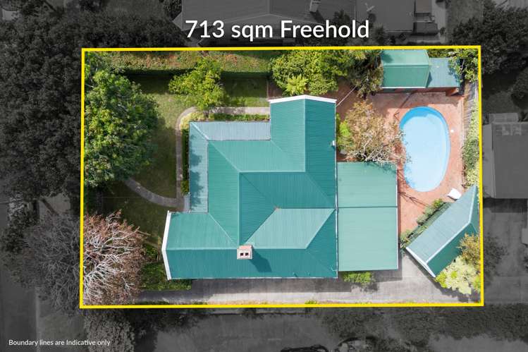 4 Kakariki Avenue Mount Eden_14