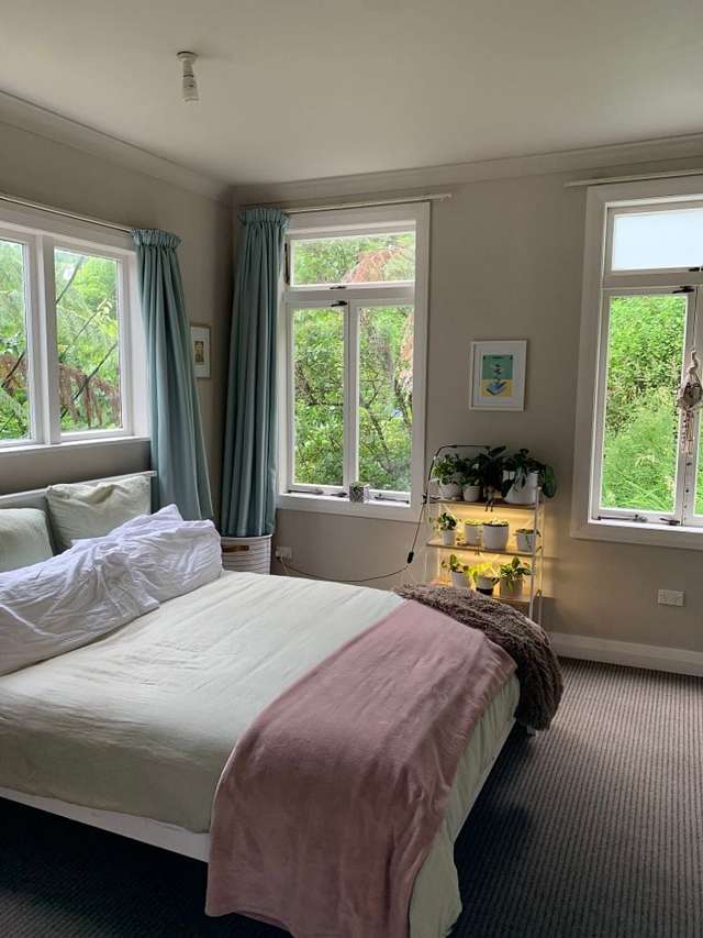 6A Semeloff Terrace Aro Valley_4