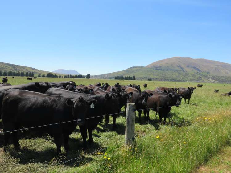 2131 Hakatere Potts Road Mesopotamia_21