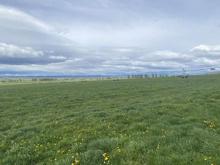 224 Auripo Road Poolburn_6