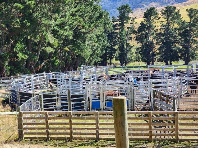 3733 Lees Valley Road Lees Valley_7