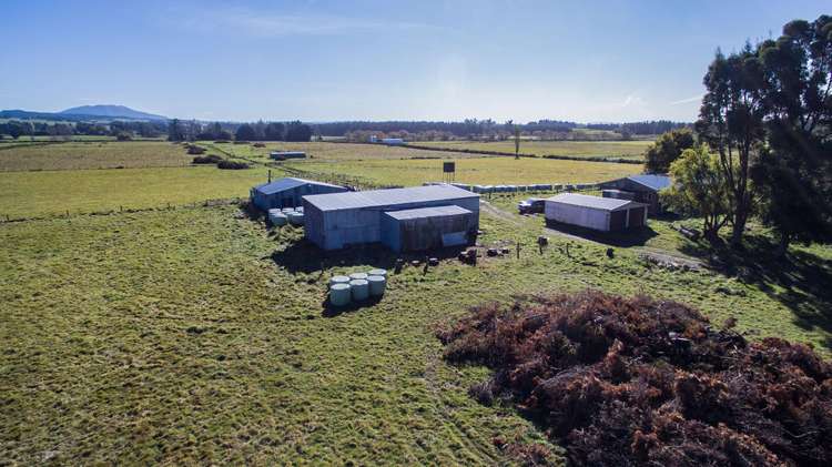 243 Rangiora Leithfield Road Sefton_7