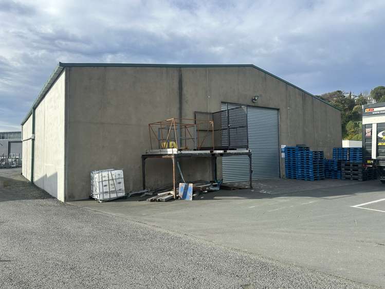 65 Portobello Road South Dunedin_9