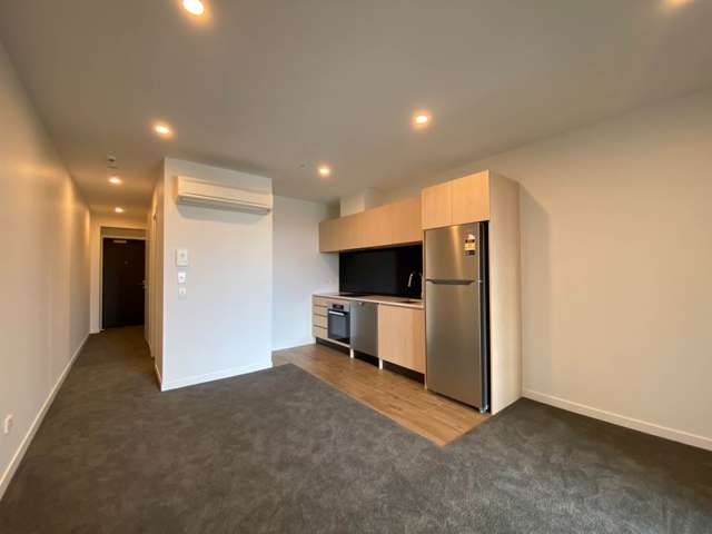 301/428 Dominion Road Mt Eden_1