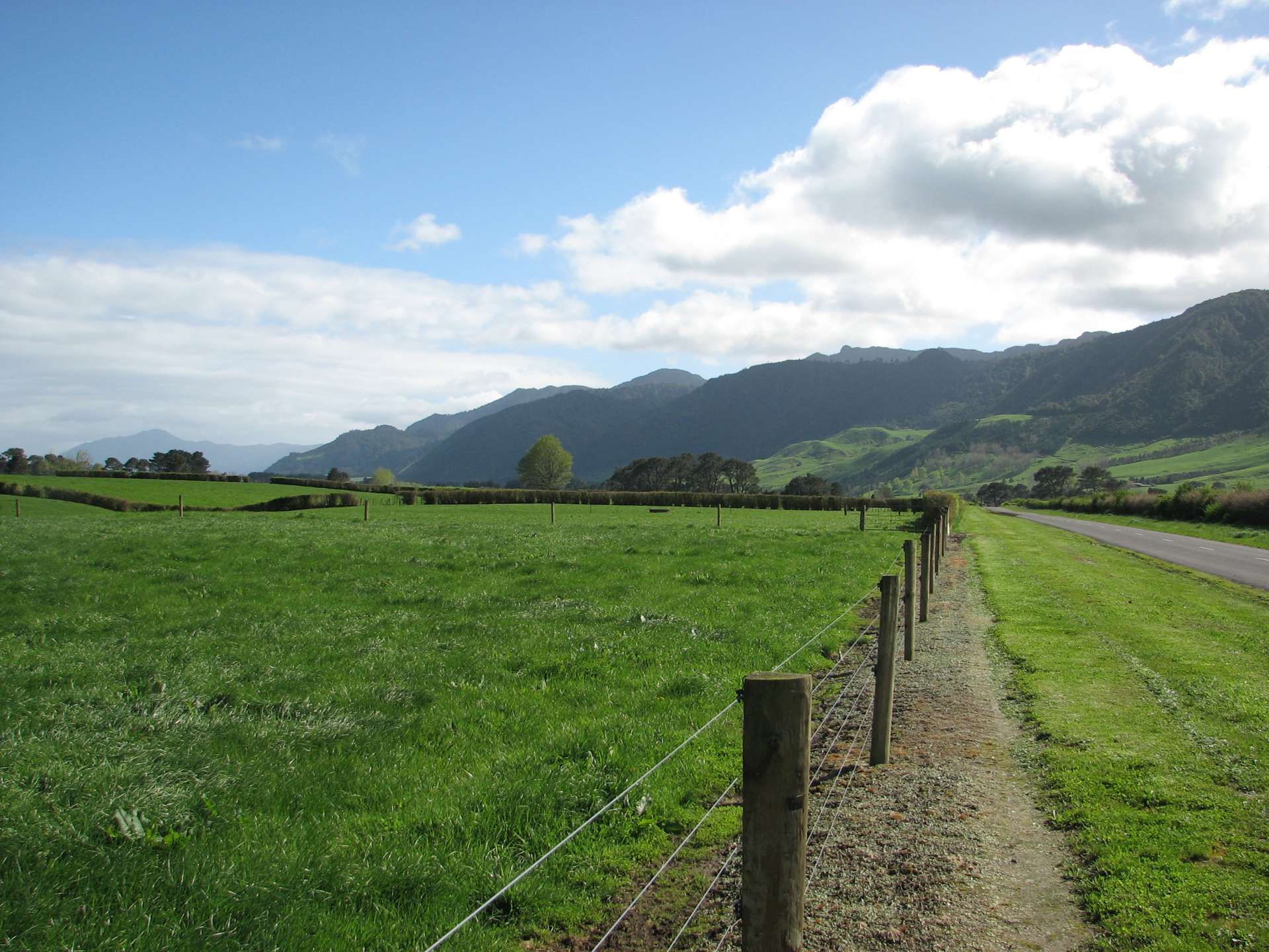 1387 Old Te Aroha Road Okauia_0