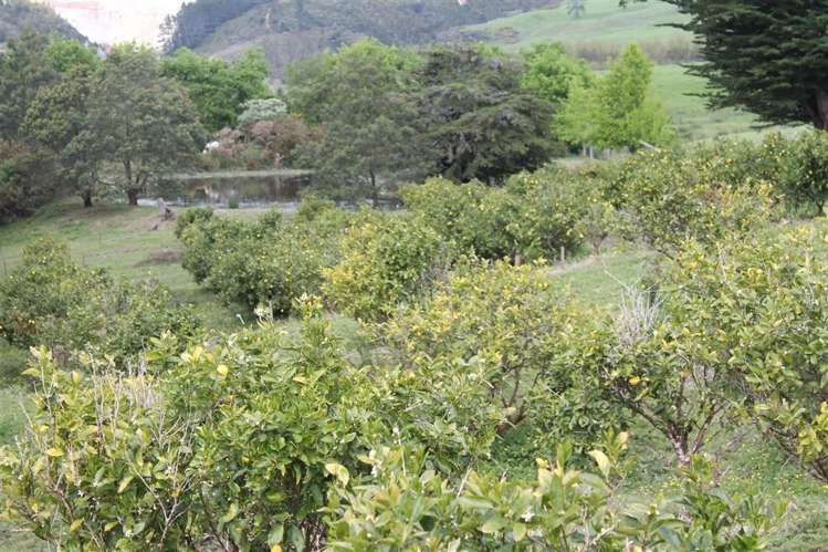 119 Rusk Road Hukerenui and Surrounds_14