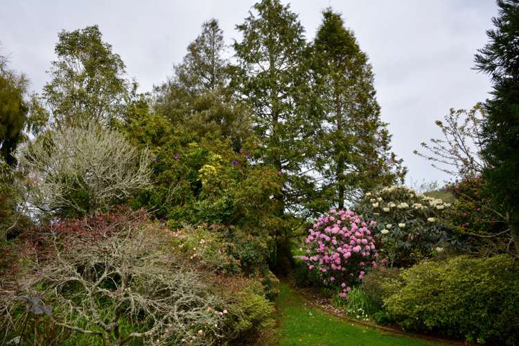 662 Arapito Road Karamea_19