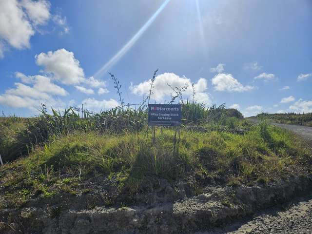 1 Basin Road Dargaville_4