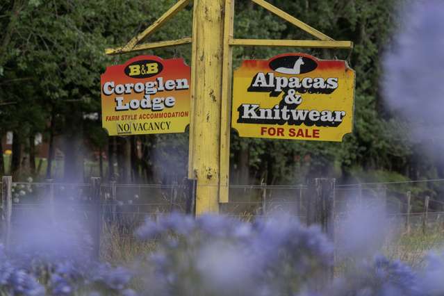 2221 SH25 Tairua-Whitianga Road Coroglen_2