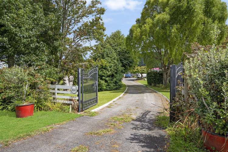 160 Parry Palm Avenue Waihi_7