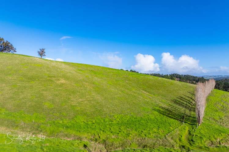 Massey Road Maungaturoto_25