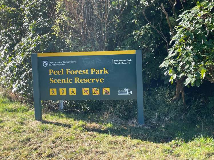 Rangitata Gorge Road Peel Forest_17