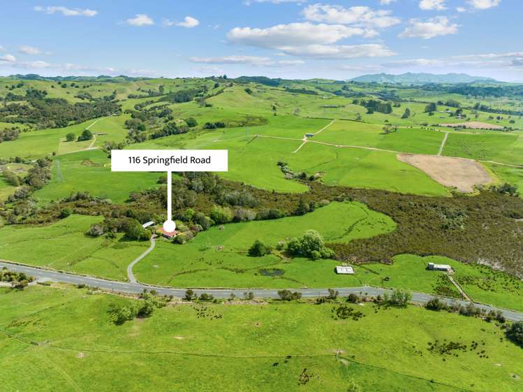 116 Springfield Road Oakleigh_10