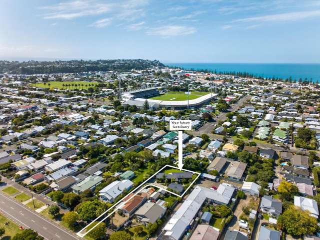 185A Georges Drive Napier South_3
