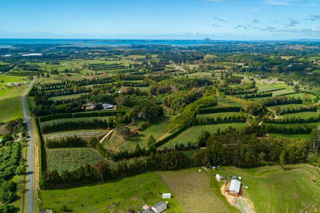 299 Lockington Road Aongatete_1