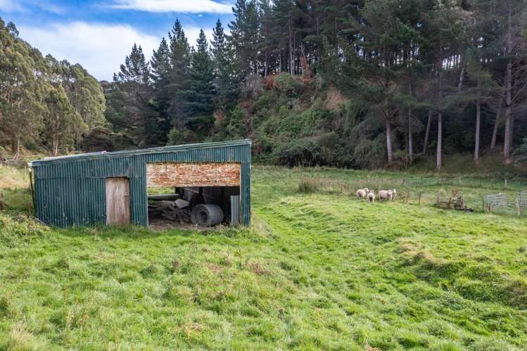 61 Coutts Gully Road Taieri Beach_30