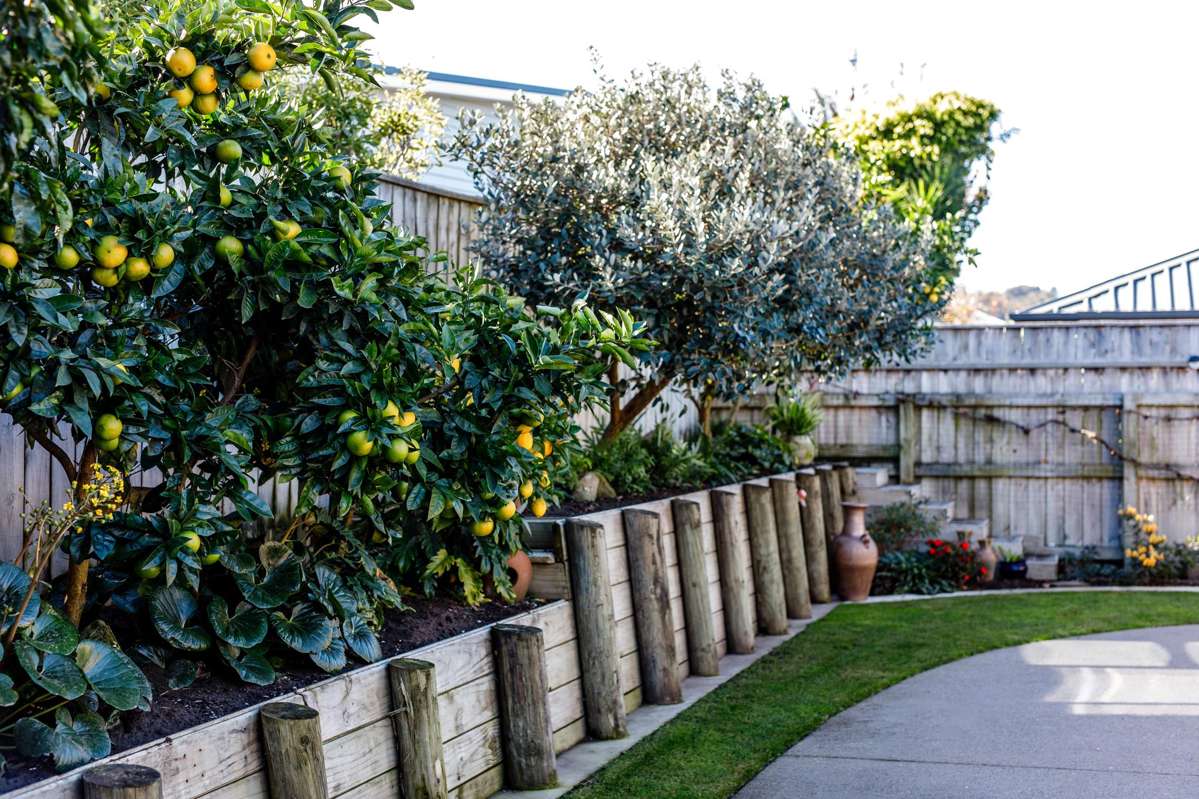 13 Banksia Lane_2