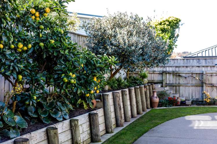 13 Banksia Lane Whakatane_6