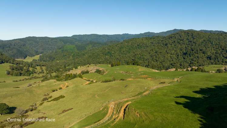 744 Woodlands Road Waihi_12