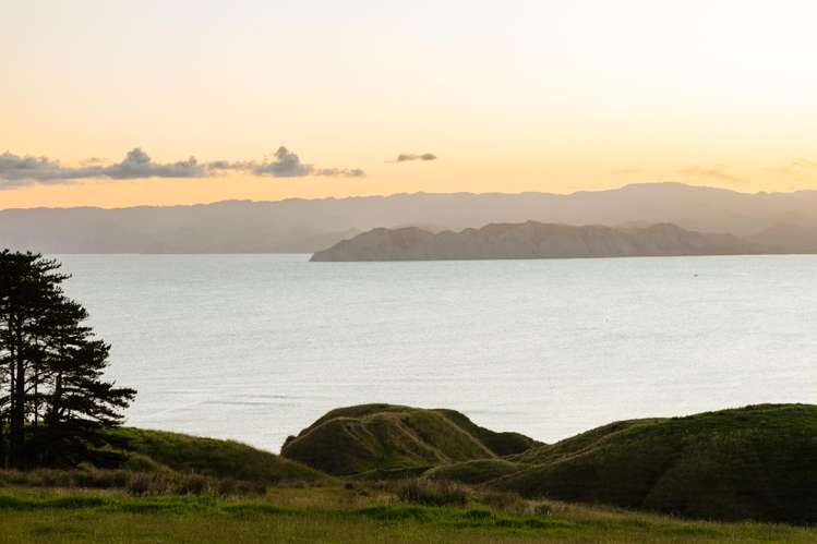 Lot 3/611 Wainui Road_0