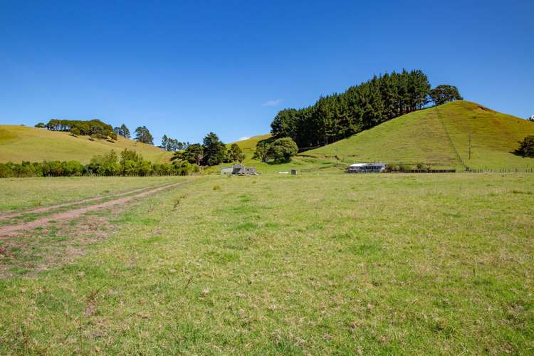 1905 Pataua North Road Pataua_9