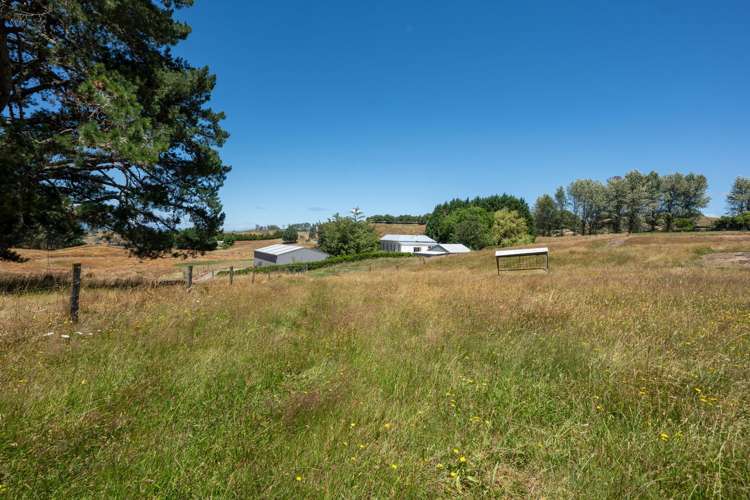 93 Oak Drive Wairakei and Surrounds_38