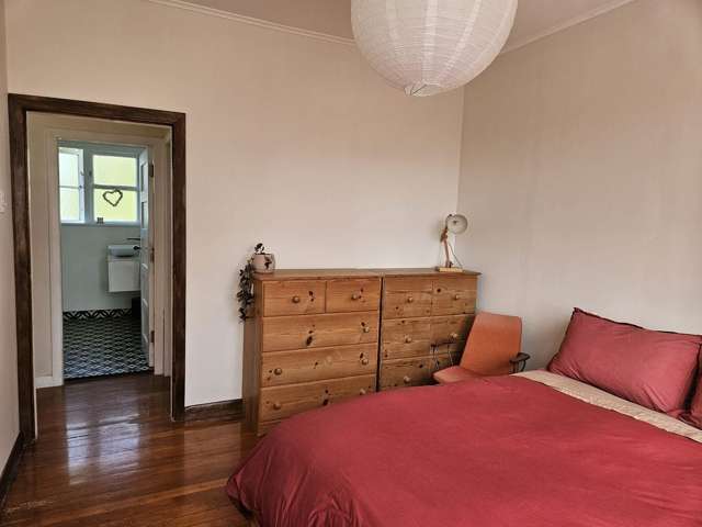 6 Simmonds Avenue Mount Roskill_4