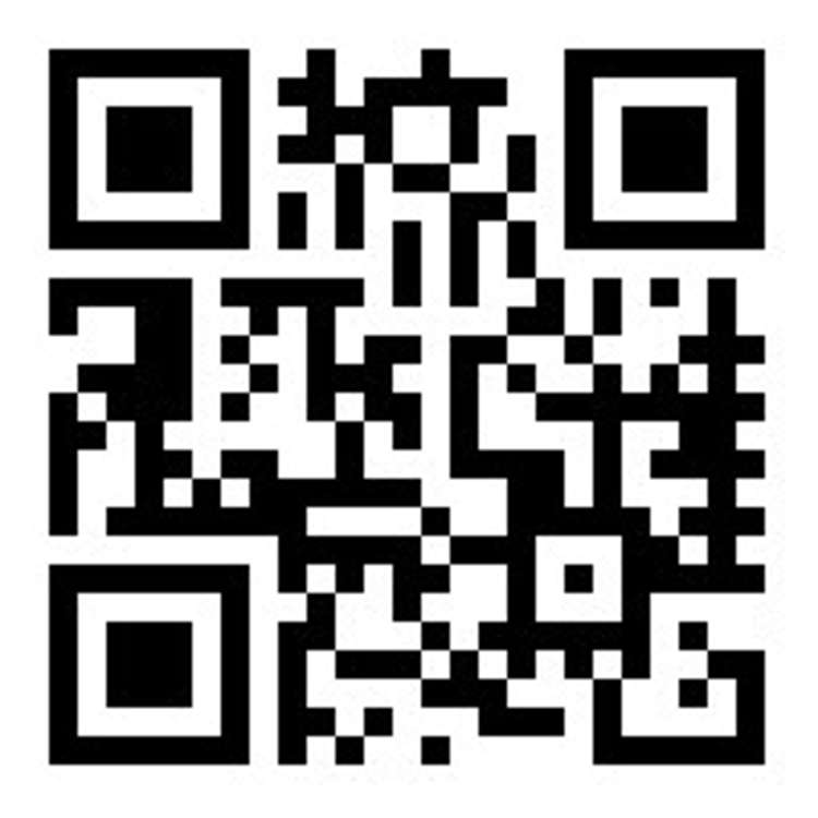 315 Lyttelton Street Spreydon_16