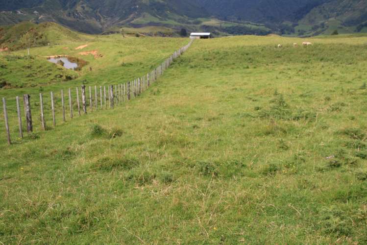 1110 Mangaehu Road Pohokura and Surrounds_12