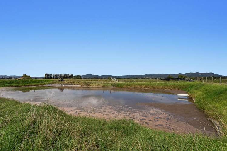 379B Powdrell Road Awakeri_7