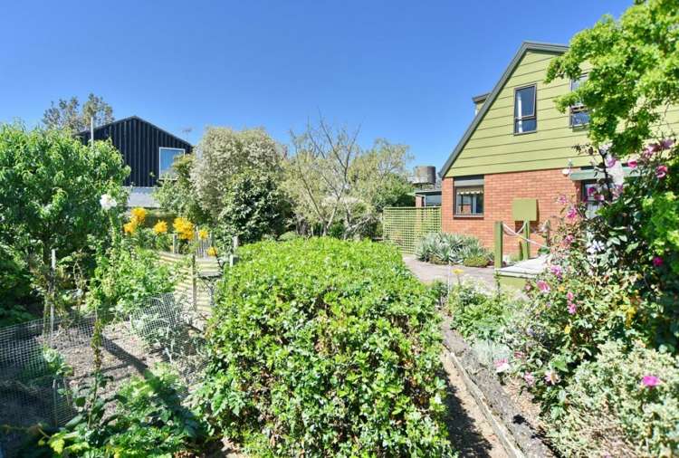 50 Grierson Avenue Amberley_16