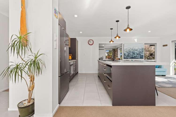 12 Ahmad Close Levin_3