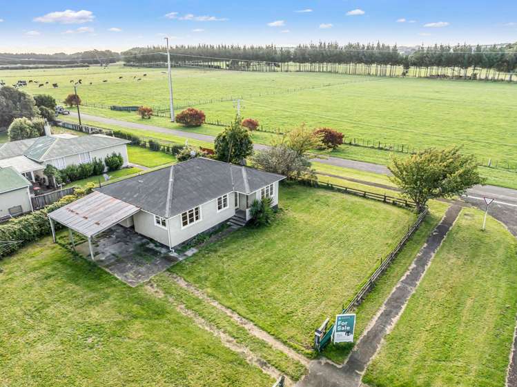 55 Wilson Street Waverley_16