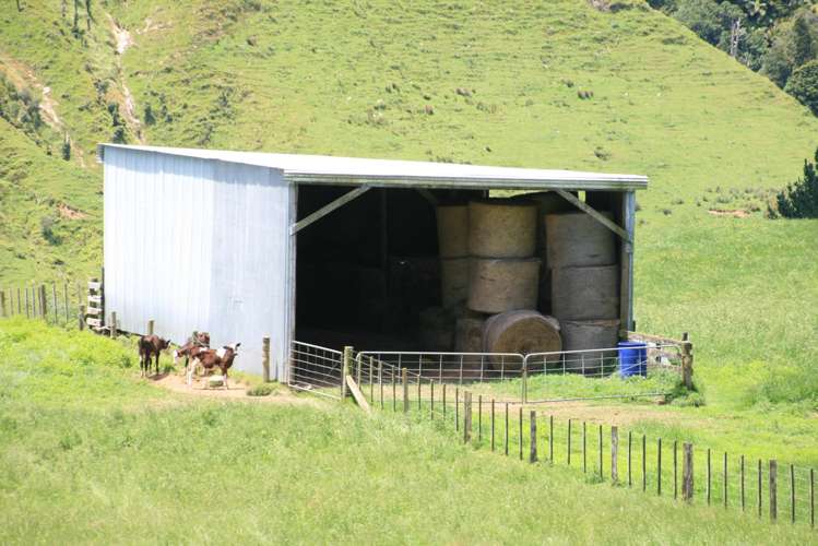 1099 Mataro Road Urenui_24