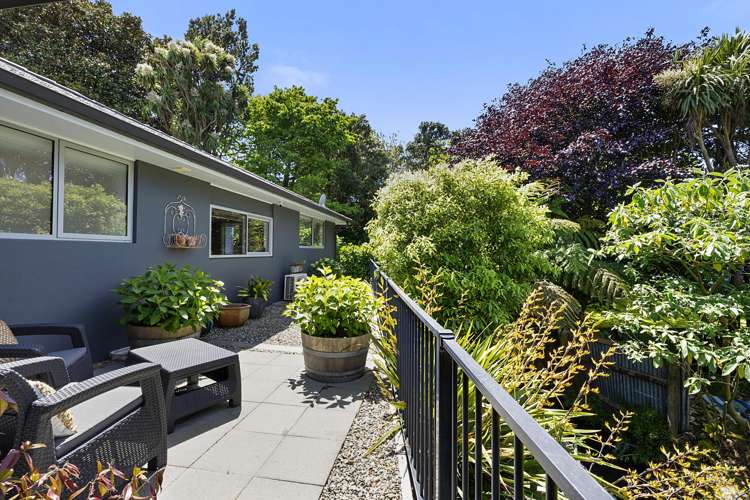 83A Young Street New Plymouth_17