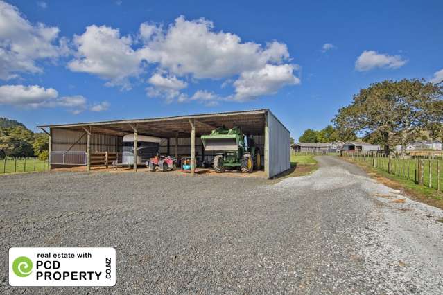 243 Harris Road Glenbervie_4