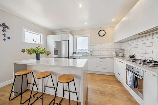 39A Mana Street Vogeltown_1