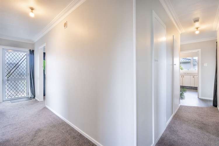 39 Kilmarnock Avenue Strathern_8