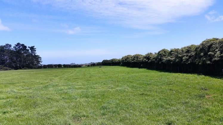 2369 Eltham Road Opunake_13