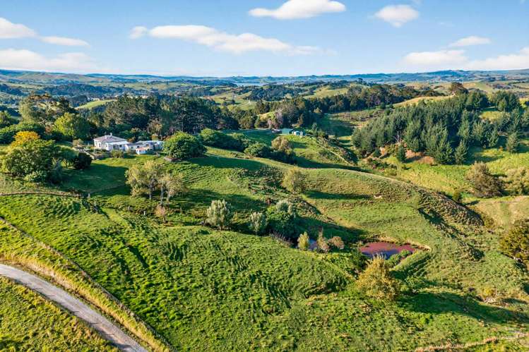 311 Franklin Road Paparoa_40