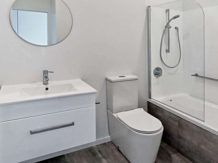 35 Te Ara O Paetutu Petone_8