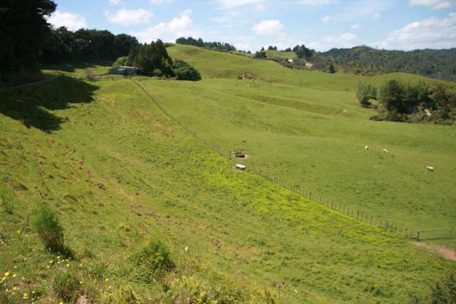 1099 Mataro Road Urenui_1