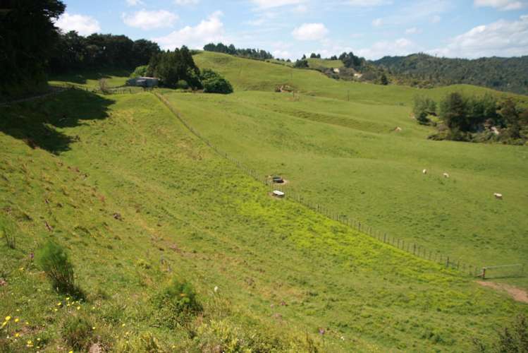 1099 Mataro Road Urenui_1