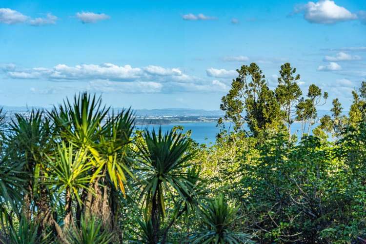 40 Otitori Bay Road Titirangi_25