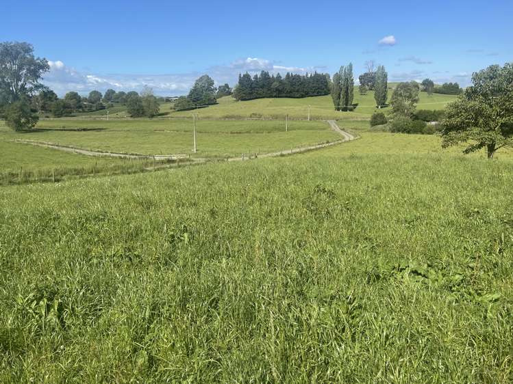 352 Otorohanga Road Te Awamutu_8