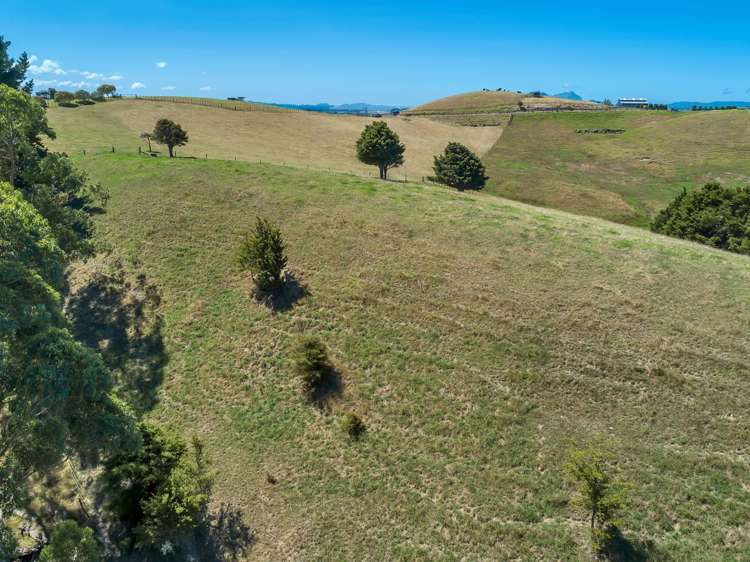 207 Sandford Road Ruakaka_6