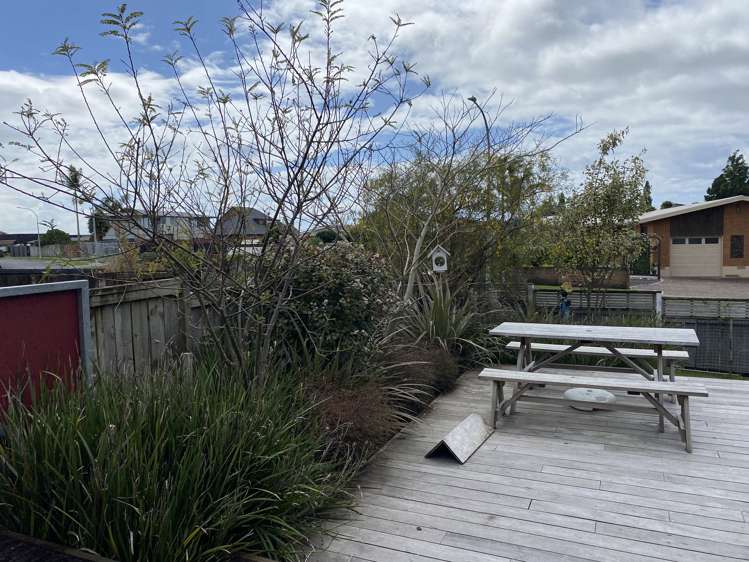 10 Vine Avenue Maungatapu_15
