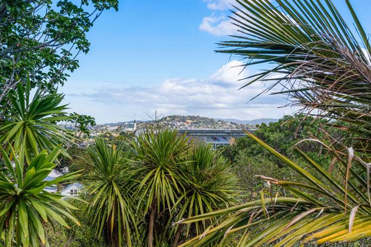 4/10 George Street Mount Eden_10